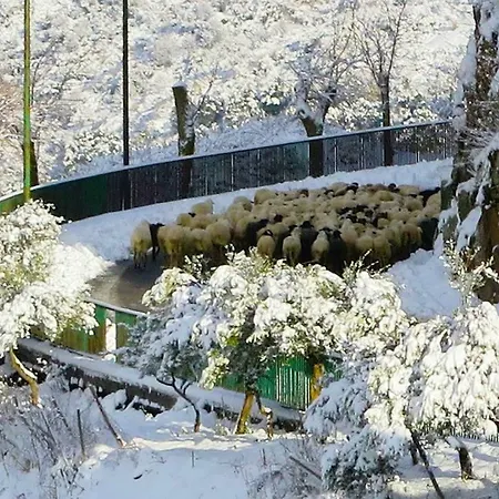 بيت ضيافة Porta Baciamano